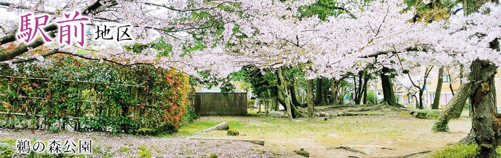 英水苑ホームヘルプサービス