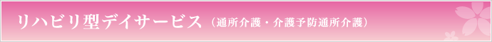 リハビリ型デイサービス（通所介護・介護予防通所介護）